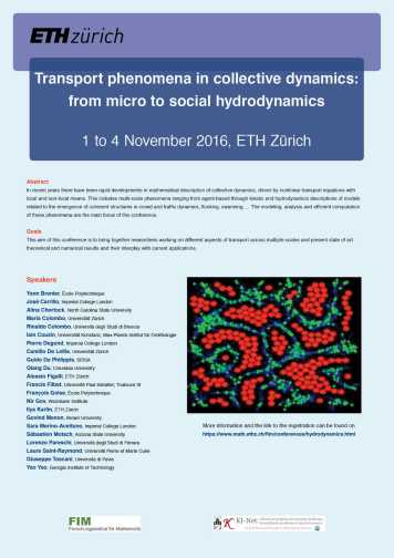 Enlarged view: Poster Conference "Transport phenomena in collective dynamics: from micro to social hydrodynamics)