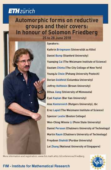 Enlarged view: Poster "Conference in honour of Solomon Friedberg"