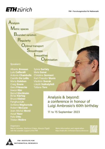 Poster Analysis and beyond: a conference in Honour of Luigi Ambrosio's 60th birthday