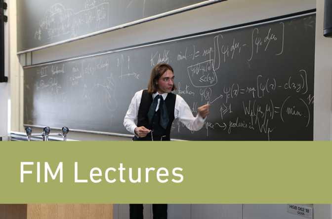 FIM Lectures