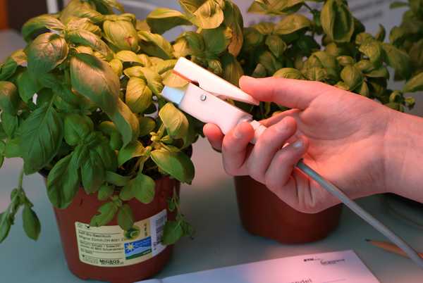 Enlarged view: Plants and sensors